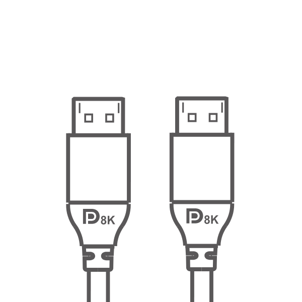 Display Port